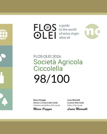 Cagnara DOP – Olio Biologico Coratina 500ml